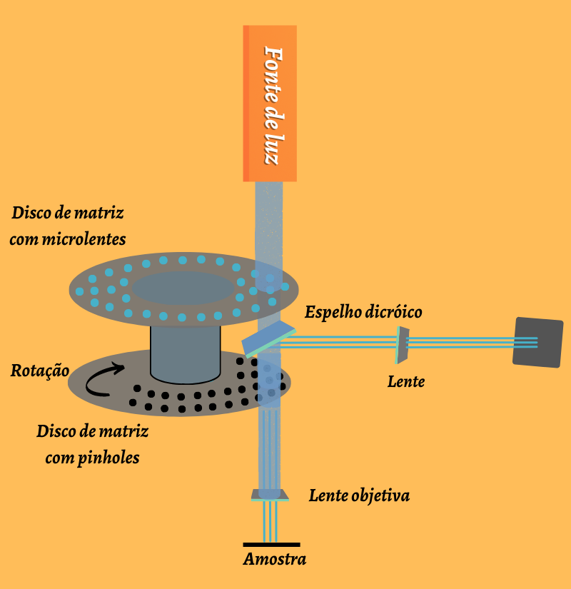 Microscopia confocal – Wikipédia, a enciclopédia livre